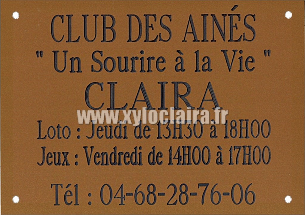 Réf : ​17927 Gravoglas2 plex brillant - Plaque association - 210x150mm - Argent-Noir - 6 lignes