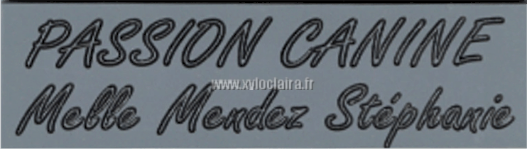 Réf : 17930 Gravoglas 2 plex brillant - 90x25mm - 2 Lignes