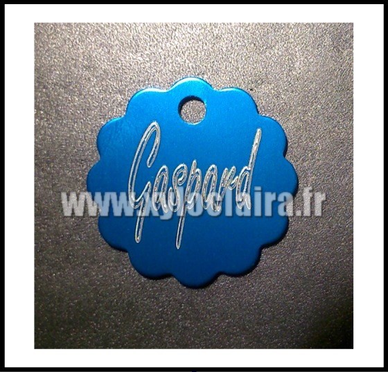 Médailles d'Animaux nuage bleu alu gaspard