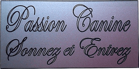 Réf : 17930 Gravoglas 2 plex brillant - 100x50mm - 2 lignes - Sonnez et entrez