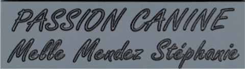 Réf : 17930 Gravoglas 2 plex brillant - 90x25mm - 2 Lignes