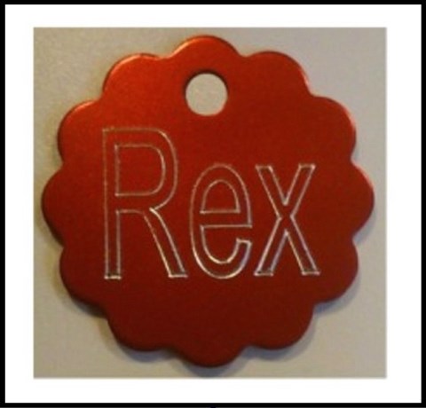 Médailles d'Animaux nuage alu anodisé rex