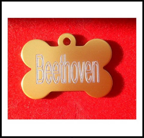 Médailles d'Animaux os alu beethoven