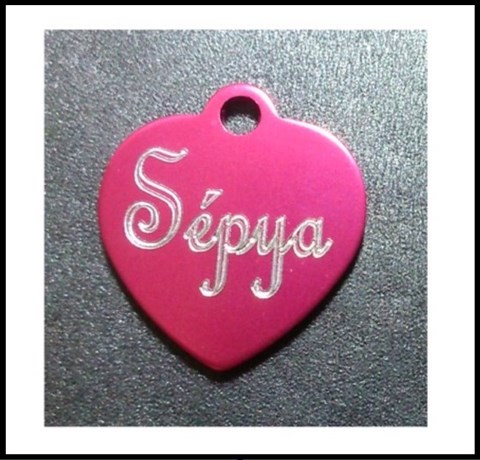 Médailles d'Animaux coeur alu sépya